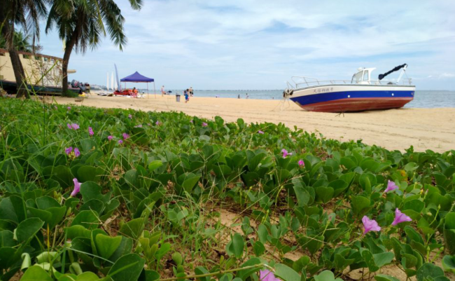 海口租车攻略 西秀海滩沙滩